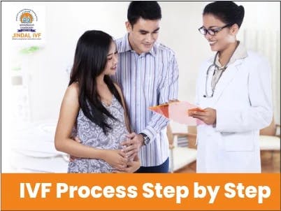IVF Process Step By Step