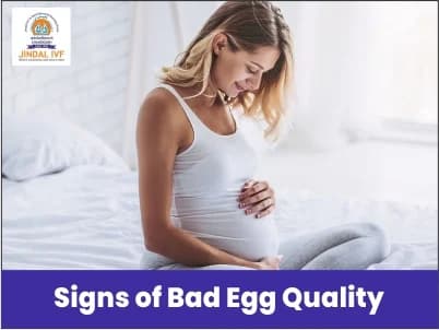 Signs of Bad Egg Quality