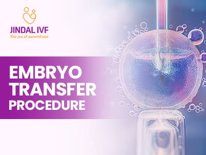 Embryo Transfer Procedure