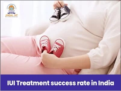 IUI Treatment Success Rate In India