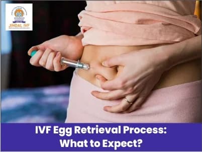 IVF Egg Retrieval Process: What to Expect?