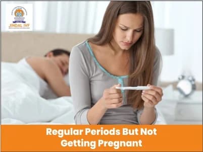 Regular Periods But Not Getting Pregnant